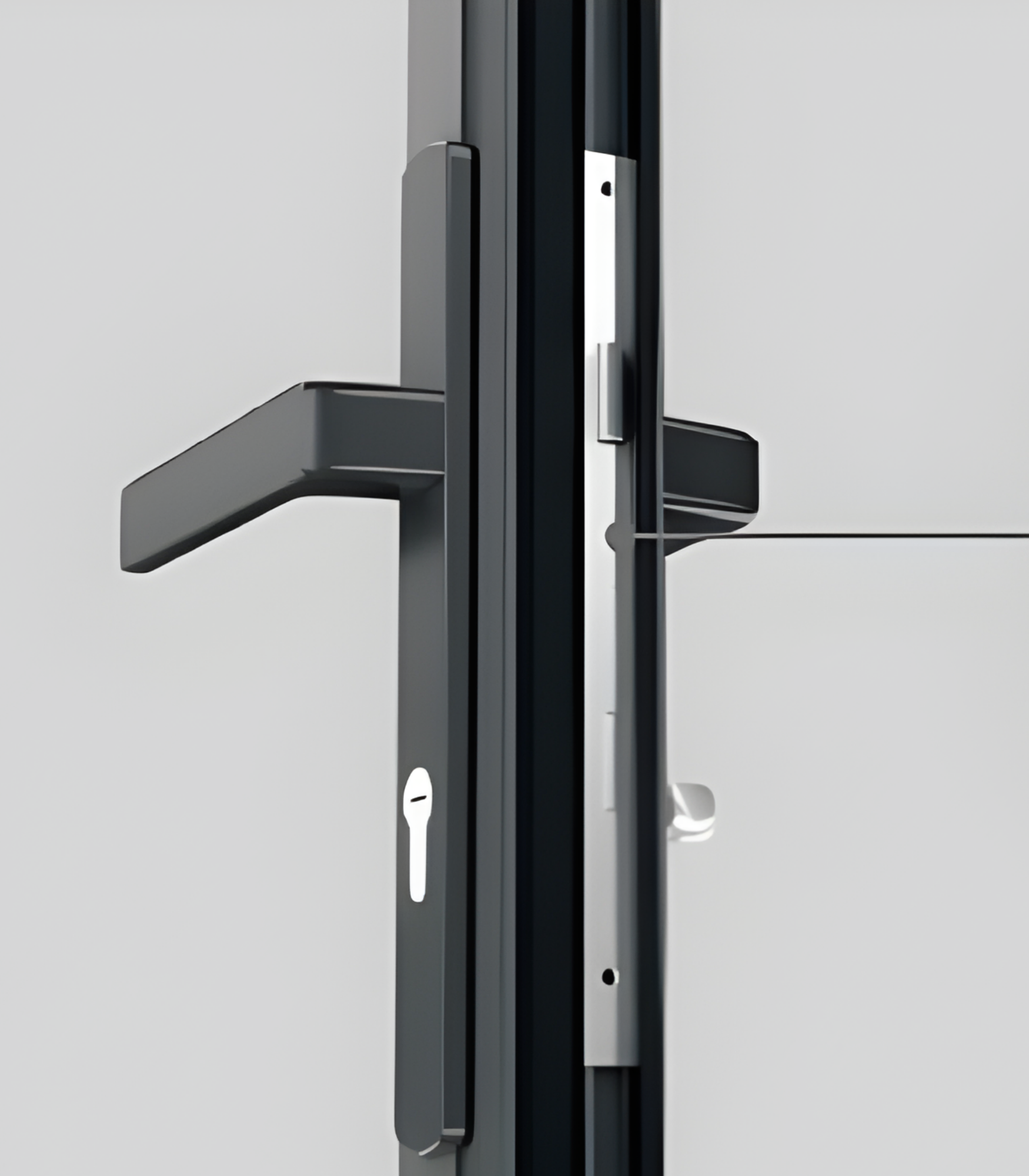 VLX 100 Swing / Entry Door in Los Angeles, CA | Lightwell Windows & Doors - detail 5